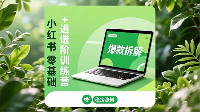 （16801期）小红书零基础+高阶训练营：安全养号、爆款拆解、长效运营，实现稳定涨粉与变现-赛德副业库