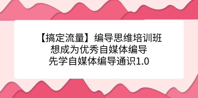 【搞定流量】编导思维培训班,想成为优秀自媒体编导先学自媒体编导通识1.0-赛德副业库