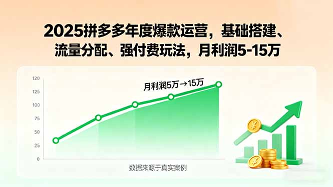（15973期）2025拼多多年度爆款运营，基础搭建、流量分配、强付费玩法，月利润5-15万-赛德副业库