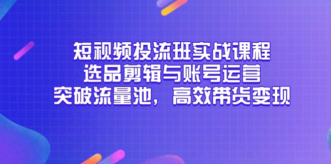 （14868期）短视频投流班实战课程，选品剪辑与账号运营，突破流量池，高效带货变现-赛德副业库