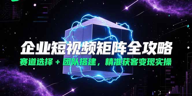 （15242期）企业短视频矩阵全攻略，赛道选择+团队搭建，精准获客变现实操-赛德副业库