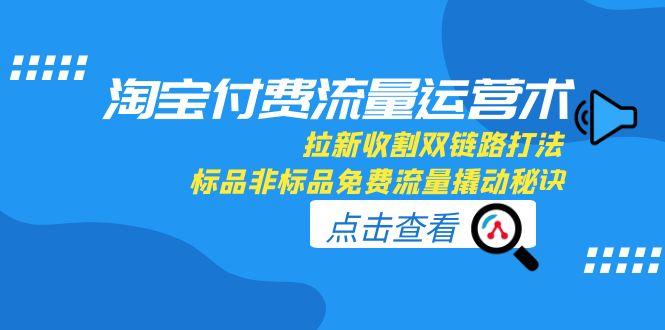 （15135期）淘宝付费流量运营术，拉新收割双链路打法，标品非标品免费流量撬动秘诀-赛德副业库
