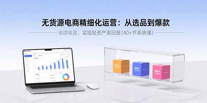 （15896期）无货源电商精细化运营：从选品到爆款，实现轻资产高回报(40+节系统课)-赛德副业库