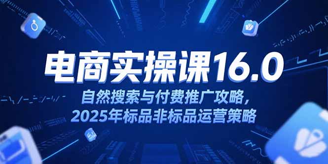 （15262期）淘宝电商运营课16.0，自然搜索与付费推广攻略，2025年标品非标品运营策略-赛德副业库