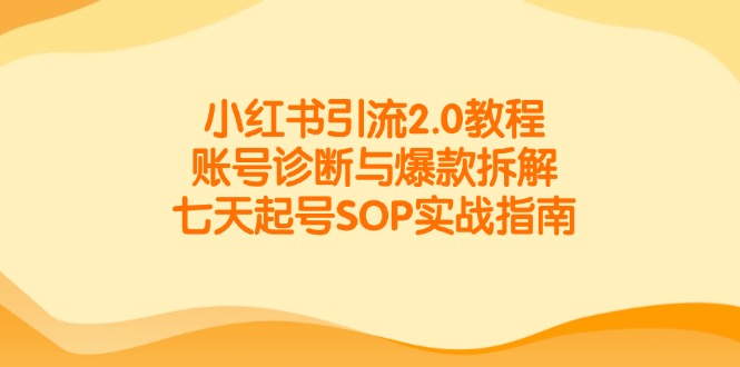 （14981期）小红书引流2.0教程，账号诊断与爆款拆解，七天起号SOP实战指南-赛德副业库