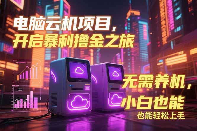 (15323期)电脑云机项目 暴力撸金玩法,不需要养机 配置没有要求 单机100个窗口一...-赛德副业库