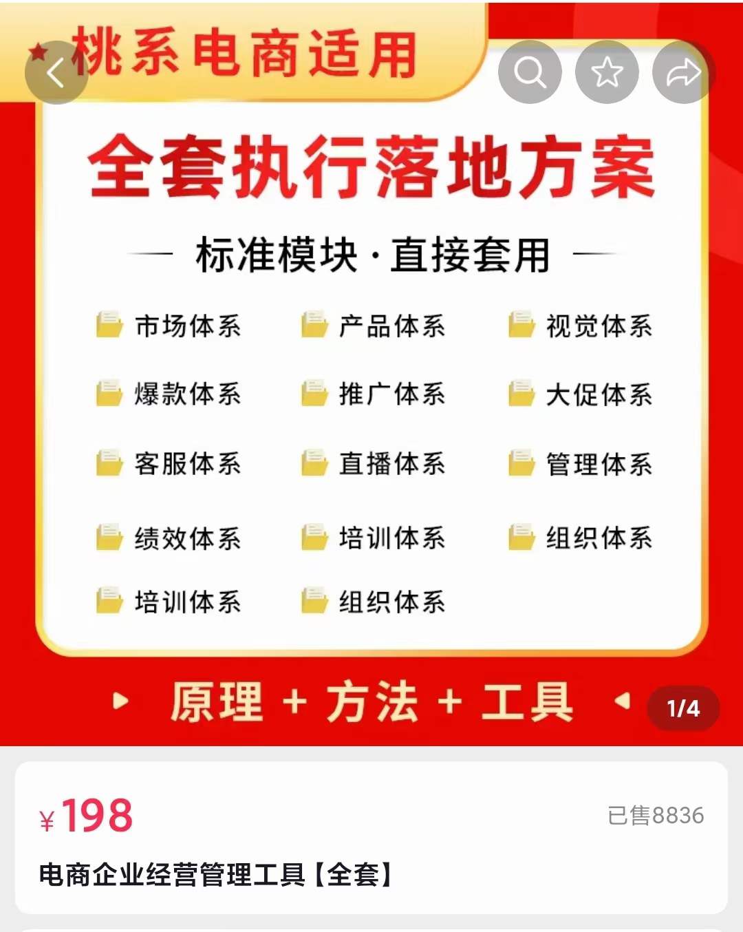 外面卖198·电商企业经营管理工具：全套执行落地方案 标准模块·直接套用-赛德副业库