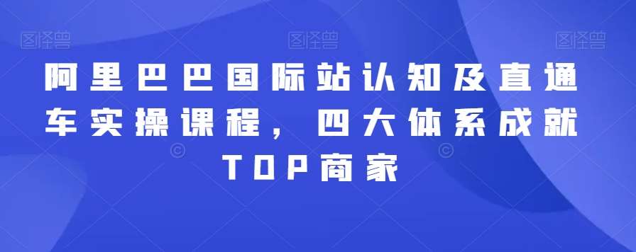 阿里巴巴国际站认知及直通车实操课程，四大体系成就TOP商家-赛德副业库