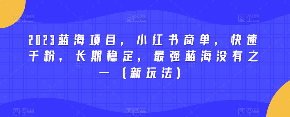 2023蓝海项目，小红书商单，快速千粉，长期稳定，最强蓝海没有之一（新玩法）-赛德副业库