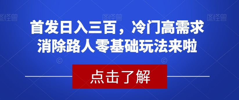 首发日入三百，冷门高需求消除路人零基础玩法来啦【揭秘】-赛德副业库