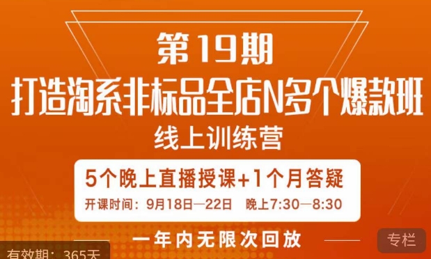 打造淘系非标全店N多个爆款线上课，​5天直播课-赛德副业库