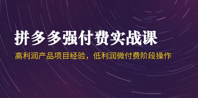 (14874期)拼多多强付费实战课-44期,高利润产品项目经验,低利润微付费阶段操作-赛德副业库