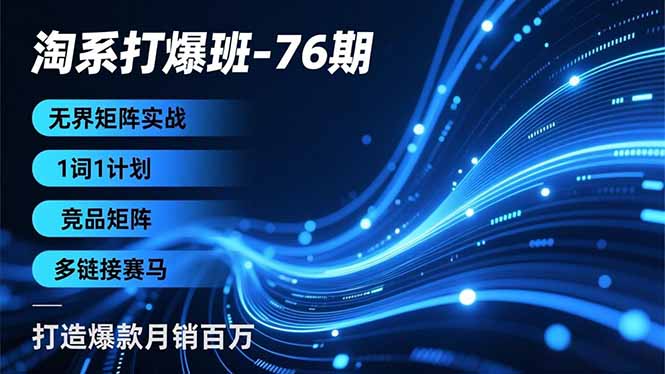 (16914期)淘系打爆班-76期,无界矩阵实战,1词1计划、竞品矩阵、多链接赛马,打造爆款月销百万-赛德副业库