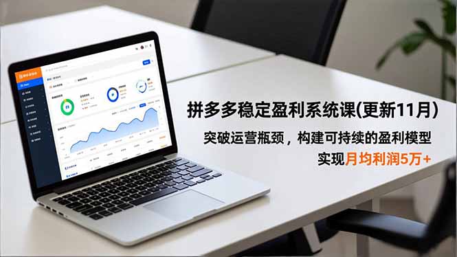 （16641期）拼多多稳定盈利系统课(更新11月)，突破运营瓶颈，构建可持续的盈利模型，实现月均利润5万+-赛德副业库
