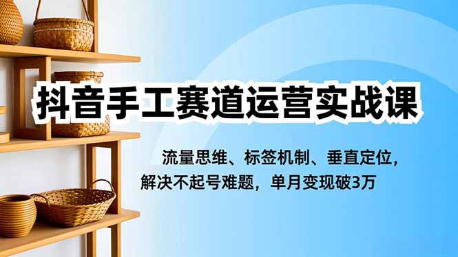 (16667期)抖音手工赛道运营实战课,流量思维、标签机制、垂直定位,解决不起号难题,单月变现破3万-赛德副业库