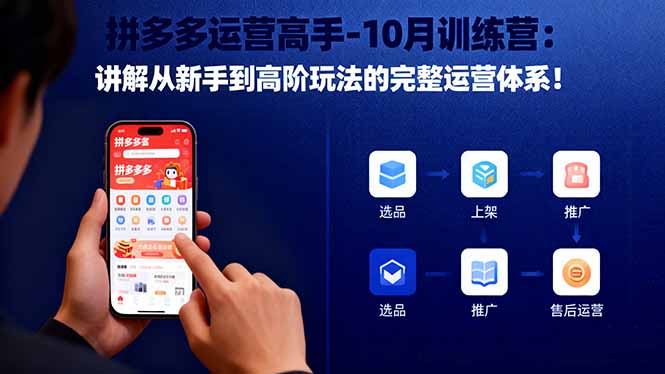 （16448期）拼多多运营高手-10月训练营：讲解从新手到高阶玩法的完整运营体系！-赛德副业库