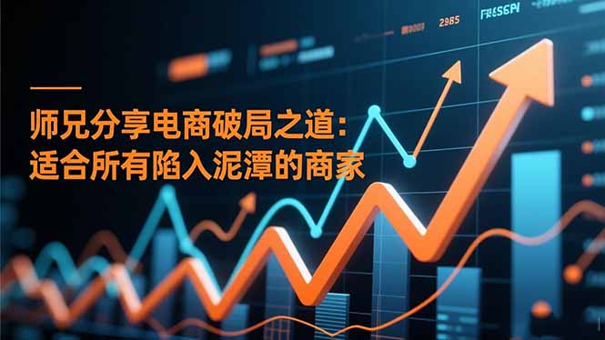 （16578期）师兄分享电商破局之道：适合所有陷入泥潭的商家-赛德副业库