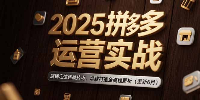 (15235期)2025拼多多运营实战:店铺定位选品技巧,爆款打造全流程解析(更新6月)-赛德副业库