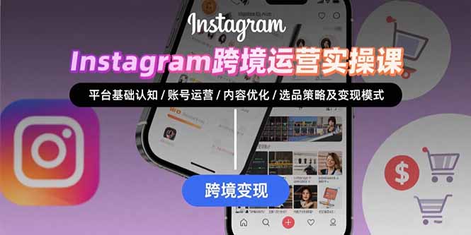 (15644期)Instagram跨境运营实战:平台认知/账号运营/内容优化/选品策略及变现模式-赛德副业库