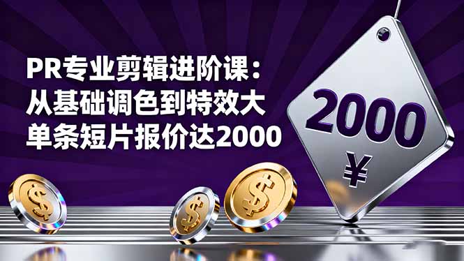（16381期）PR专业剪辑进阶课：从基础调色到特效大片的进阶技能，单条短片报价达2000-赛德副业库