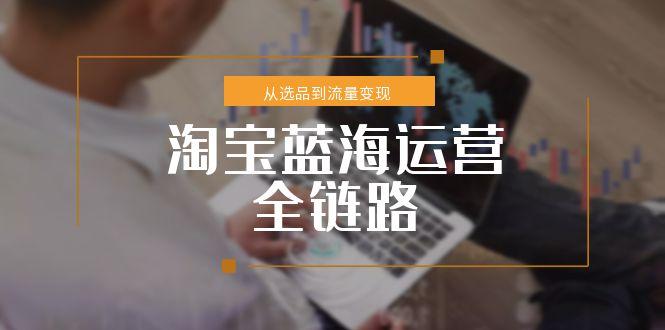 （15160期）淘宝蓝海运营全链路，从选品到流量变现，小类目突围完整方案-赛德副业库