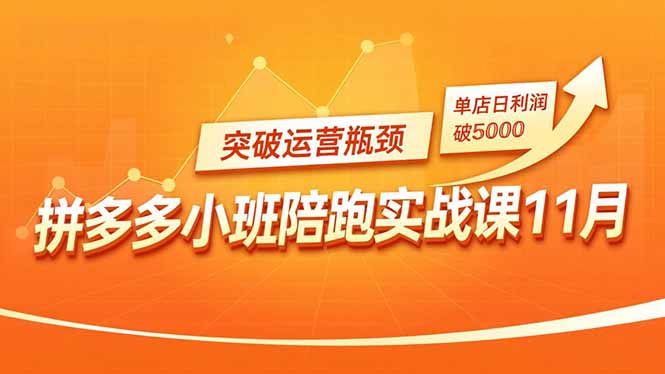 （16654期）拼多多小班陪跑实战课11月，强付费矩阵、原价活动、暗券引流，突破运营瓶颈，单店日利润破5000-赛德副业库