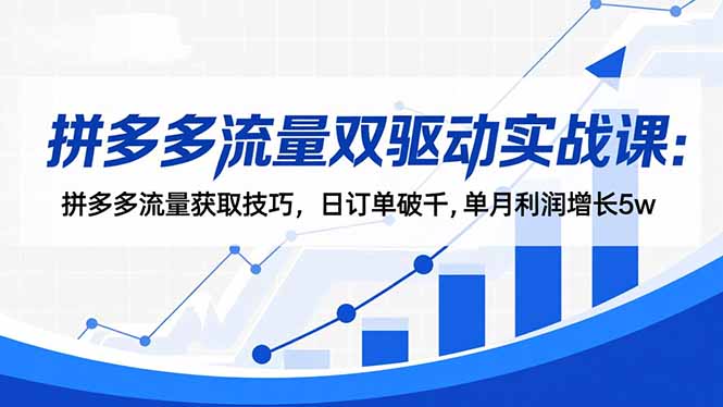 （16563期）拼多多流量双驱动实战课：拼多多流量获取技巧，日订单破千,单月利润增长5w-赛德副业库