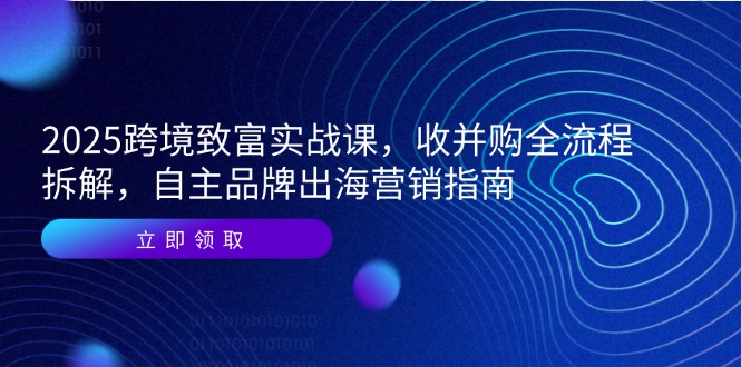 （14975期）2025跨境致富实战课，收并购全流程拆解，自主品牌出海营销指南-赛德副业库