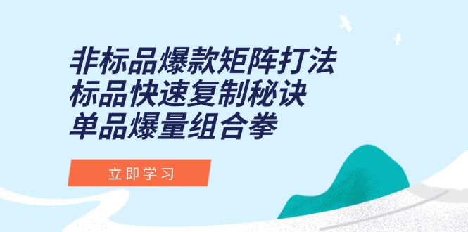 (15068期)非标品爆款矩阵打法,标品快速复制秘诀,单品爆量组合拳-赛德副业库