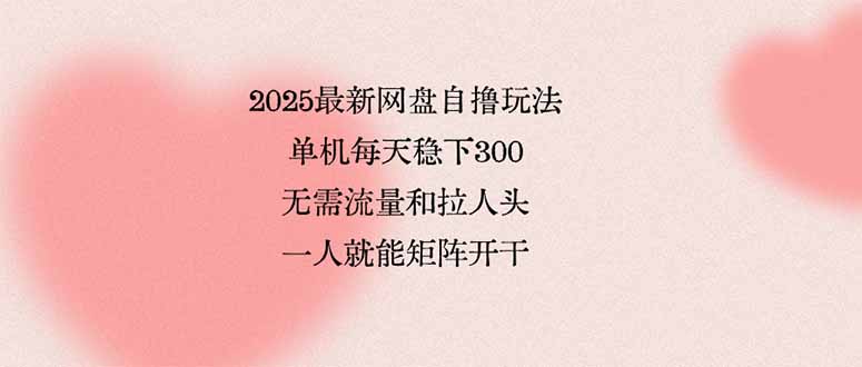 (15831期)2025最新网盘自撸玩法,单机每天稳下3张,无需流量和拉人头,一个人就...-赛德副业库