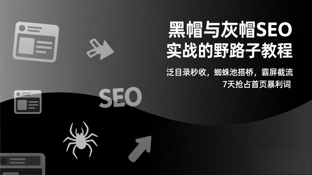 （17125期）黑帽与灰帽SEO实战的野路子教程：泛目录秒收，蜘蛛池搭桥，霸屏截流，7天抢占首页暴利词-赛德副业库
