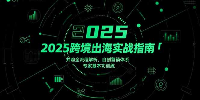 (15503期)2025跨境出海实战指南,并购全流程解析,自创营销体系,专家基本功训练-赛德副业库
