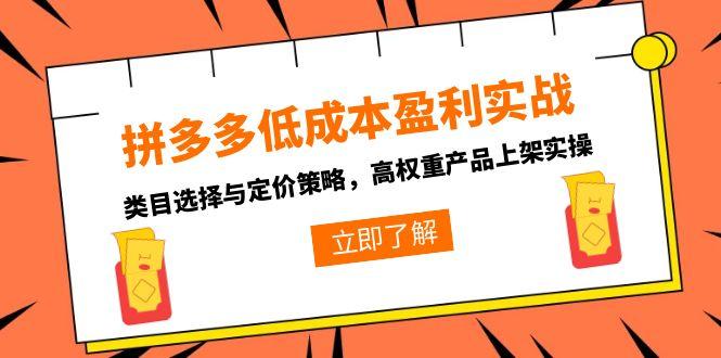 (15143期)拼多多低成本盈利实战,类目选择与定价策略,高权重产品上架实操-赛德副业库