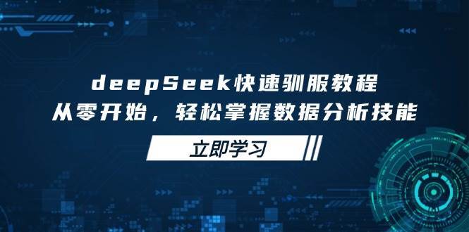 deepSeek快速驯服教程，从零开始，轻松掌握数据分析技能-赛德副业库