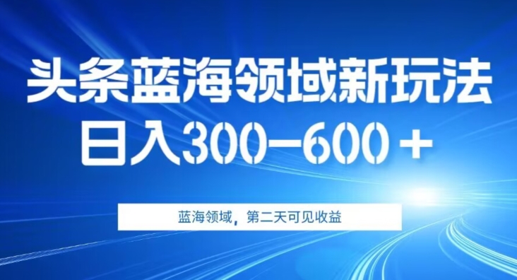 AI头条野路子蓝海领域新玩法2.0，日入300-600＋，附保姆级教程【揭秘】-赛德副业库