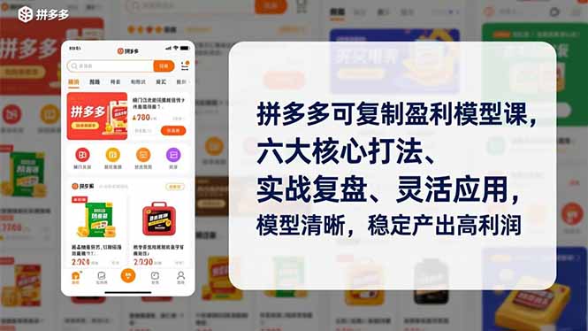 （16952期）拼多多可复制盈利模型课，六大核心打法、实战复盘、灵活应用，模型清晰，稳定产出高利润-赛德副业库