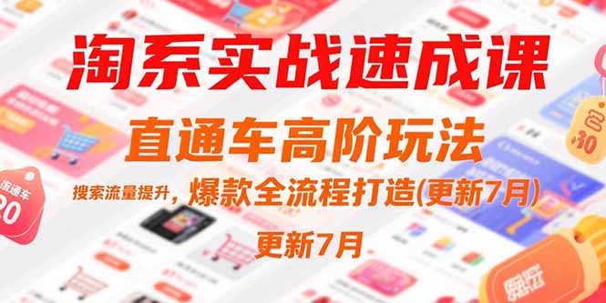 (15374期)淘系实战速成课,直通车高阶玩法,搜索流量提升,爆款全流程打造(更新7月)-赛德副业库