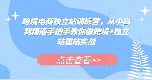 跨境电商独立站训练营，从小白到精通手把手教你做跨境+独立站建站实战-赛德副业库