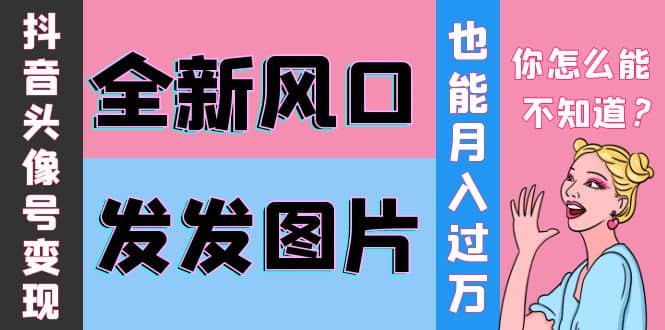 抖音头像号变现0基础教程-赛德副业库