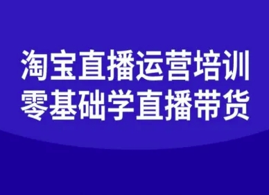 淘宝直播运营培训-零基础学会直播卖货-赛德副业库