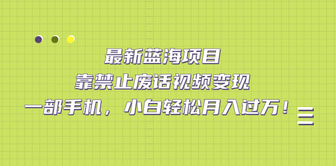 最新蓝海项目,靠禁止废话视频变现,一部手机,小白轻松月入过万!-赛德副业库