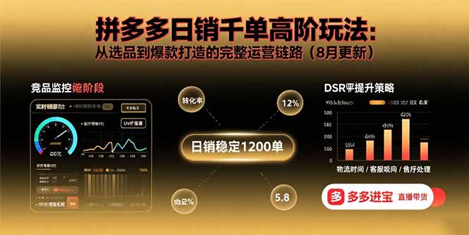 （15850期）拼多多日销千单高阶玩法：从选品到爆款打造的完整运营链路（8月更新）-赛德副业库