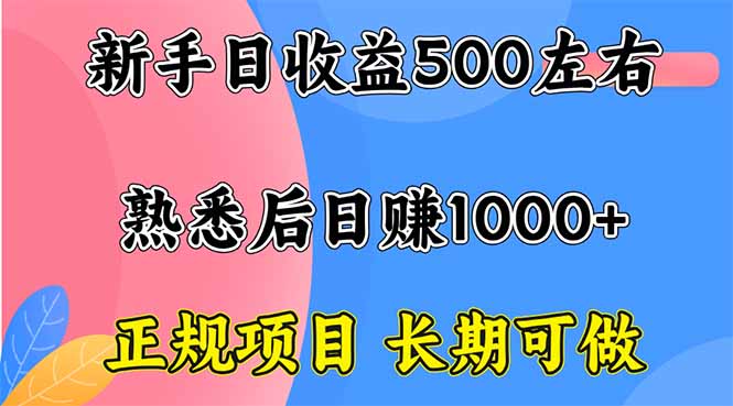 （16132期）新手日收益500+ 正规项目 长期可做-赛德副业库