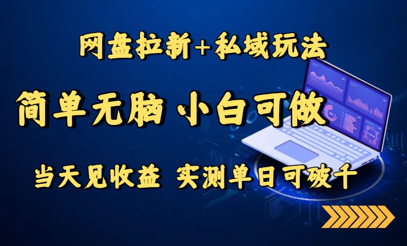 （15744期）网盘拉新+私域玩法，简单无脑，小白可做，当天见收益，实测单日可破千-赛德副业库