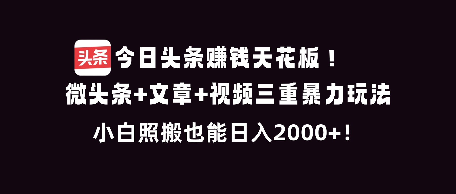 （16888期）今日头条赚钱天花板！微头条+文章+视频三重暴利玩法，小白照搬也能日人2000+-赛德副业库