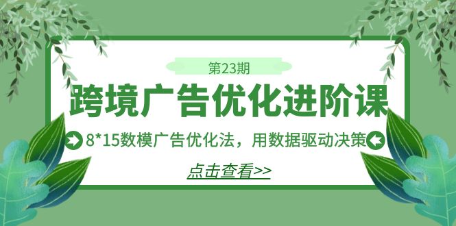 跨境广告·优化进阶课·第23期，8*15数模广告优化法，用数据驱动决策-赛德副业库