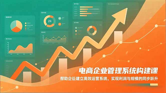 (16643期)电商企业管理系统构建课:帮助企业建立高效运营系统,实现利润与规模的同步跃升-赛德副业库