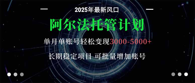 (16360期)阿尔法托管计划 单账号月入3000-5000,长期稳定项目,新手小白轻松上手。-赛德副业库