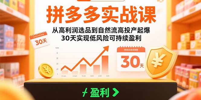 （15586期）拼多多实战课：从高利润选品到自然流高投产起爆 30天实现低风险可持续盈利-赛德副业库
