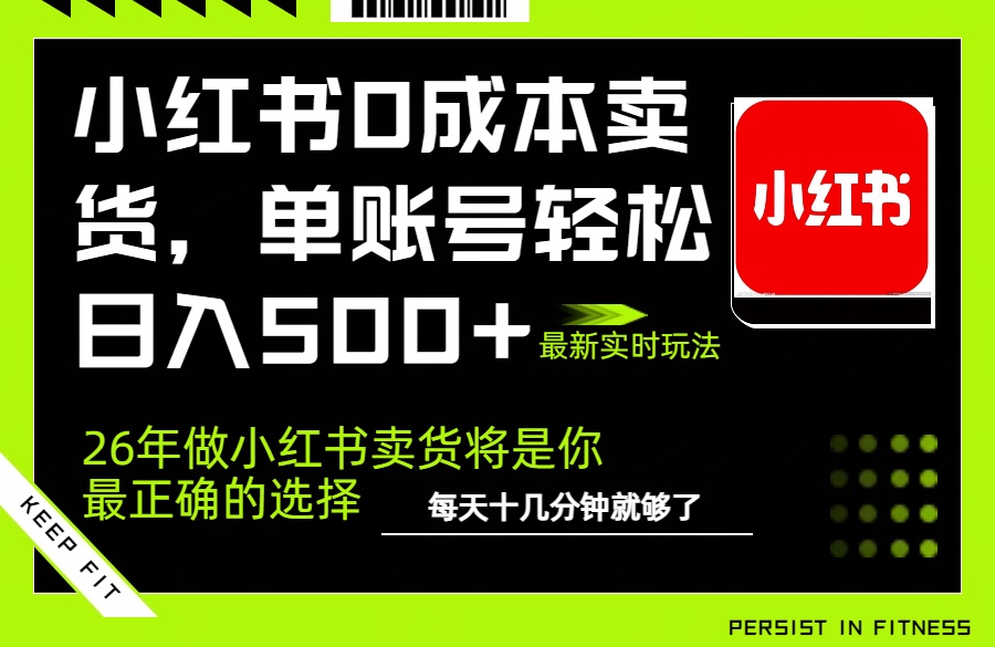 （17462期）小红书0成本AI卖货，单账号轻松日入500+，完全托管AI，可矩阵放大-赛德副业库